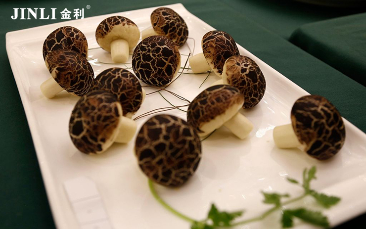 集成灶十大品牌金利，多功能集于一體，智能引領(lǐng)生活