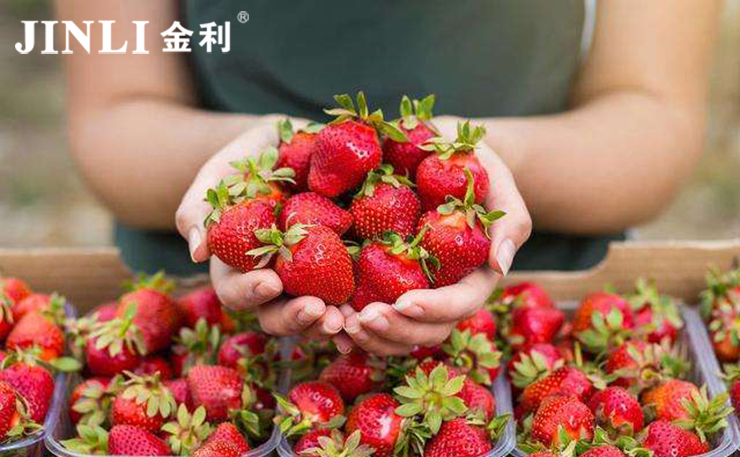 集成灶實(shí)用嗎？集成化設(shè)計(jì)讓廚房更美觀、寬敞！
